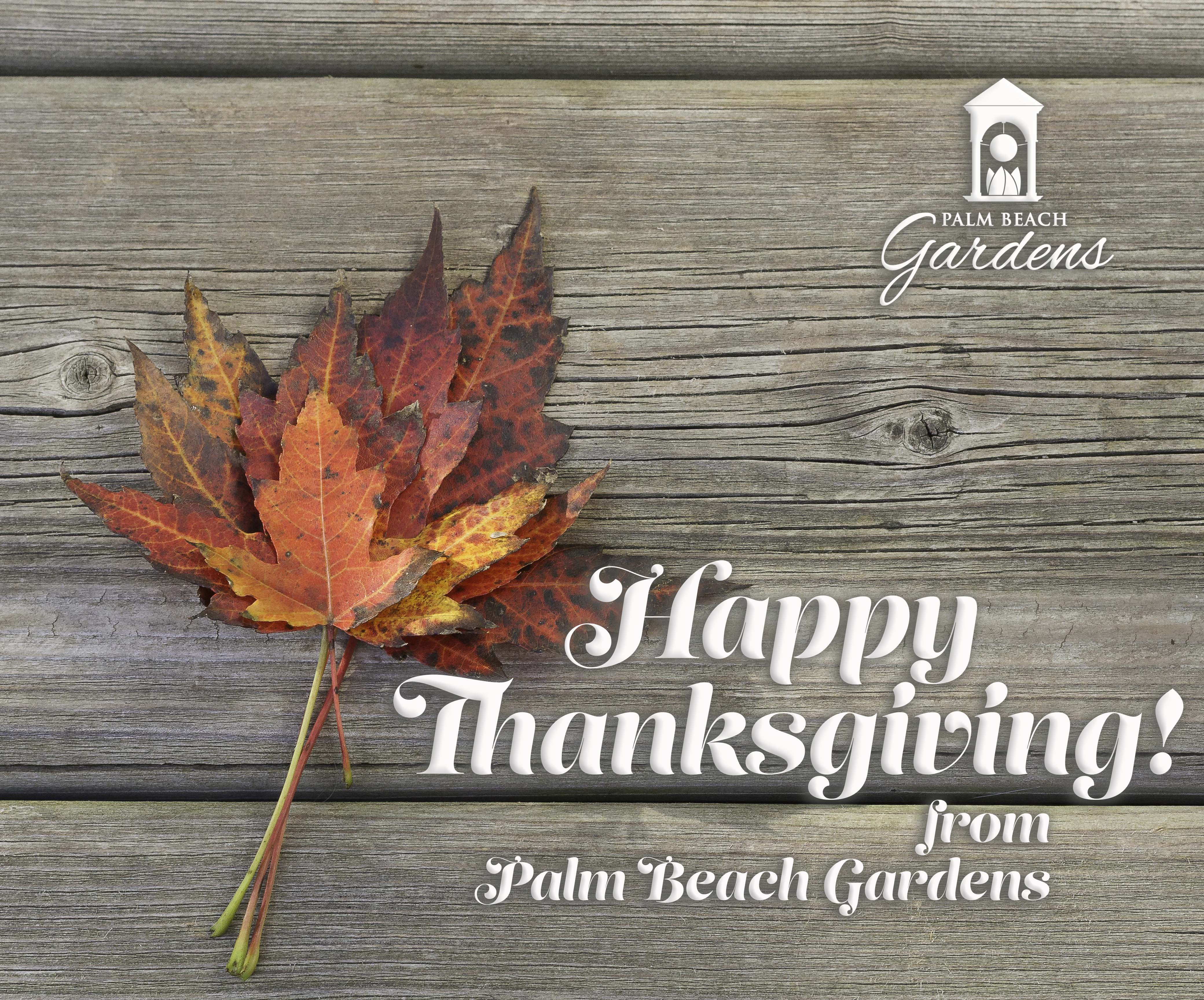 Happy Thanksgiving.jpg